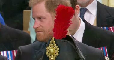 Revealed: The story behind Prince Harry's Coronation humiliation caused by Princess Anne's enormous hat!