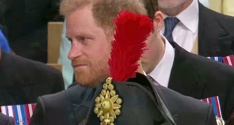 Revealed: The story behind Prince Harry's Coronation humiliation caused by Princess Anne's enormous hat!