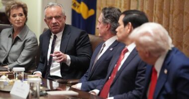 Robert F Kennedy makes controversial link about circumcision