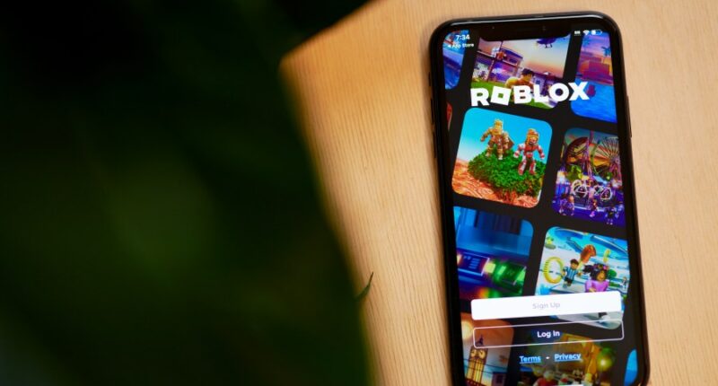Roblox and Discord hit with another lawsuit after girl, 13, dies