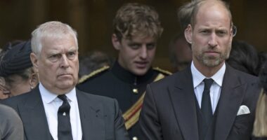 Royal historian claims Prince William is behind Andrew demotion
