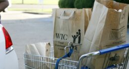 SNAP could run out Nov. 1: What about WIC?