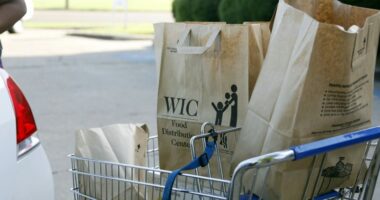 SNAP could run out Nov. 1: What about WIC?