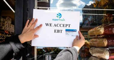 SNAP deadline: What happens to unused benefits on your EBT card after Nov. 1?