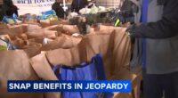 SNAP food aid shutdown: Governor JB Pritzker signs order supporting Illinois residents who rely on SNAP benefits