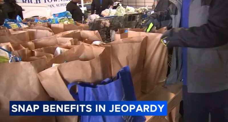 SNAP food aid shutdown: Governor JB Pritzker signs order supporting Illinois residents who rely on SNAP benefits