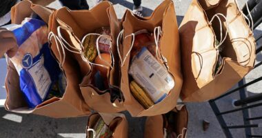 SNAP scams incoming, expert warns. Here's what to watch out for