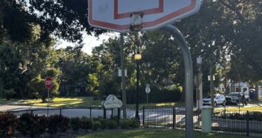 Sarasota parents speak out after threat leads to temporary removal of basketball hoop