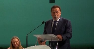 Schwarzenegger joins Pope Leo at climate change event