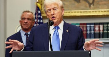 Scientists behind study linking Tylenol to autism accuse Trump of 'spreading misinformation'