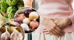 Scientists crack code on how dietary fiber shields your body from harmful sugar damage