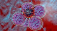 Scientists discover 'natural cancer killer' that's 'safer and more effective' than standard treatments