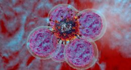 Scientists discover 'natural cancer killer' that's 'safer and more effective' than standard treatments