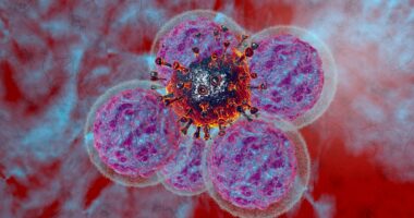 Scientists discover 'natural cancer killer' that's 'safer and more effective' than standard treatments