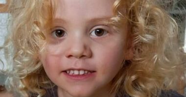 Missing four-year-old Gus