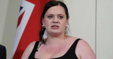 Second grooming gang victim quits 'toxic' inquiry panel