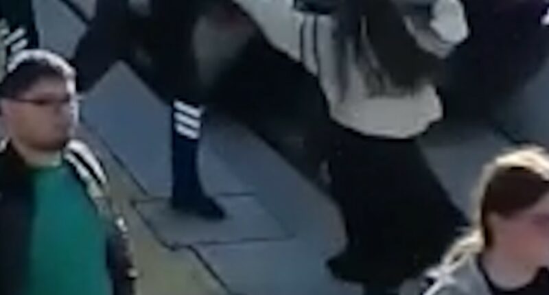 Security guard rescues woman from path of oncoming tram