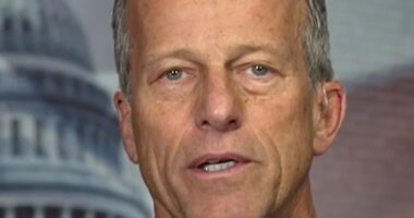Sen. Thune speaks on government shutdown negotiations
