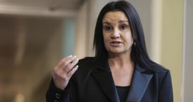 Senator Jacqui Lambie addresses the media