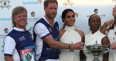 Sentebale drops polo matches after Harry walked away from charity