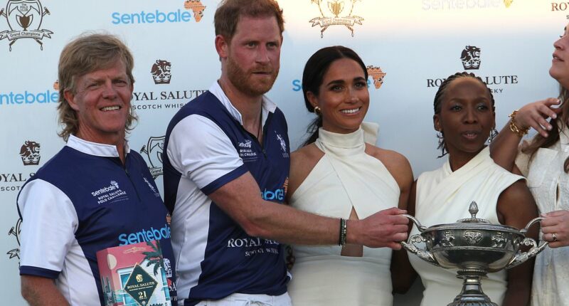 Sentebale drops polo matches after Harry walked away from charity