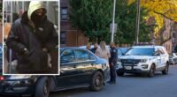 Serial slasher sought after 3 unprovoked Brooklyn attacks in 24 hours