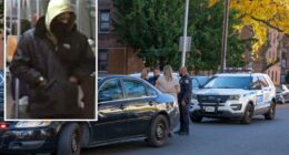 Serial slasher sought after 3 unprovoked Brooklyn attacks in 24 hours
