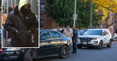 Serial slasher sought after 3 unprovoked Brooklyn attacks in 24 hours