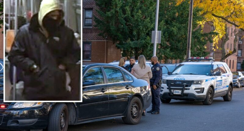 Serial slasher sought after 3 unprovoked Brooklyn attacks in 24 hours