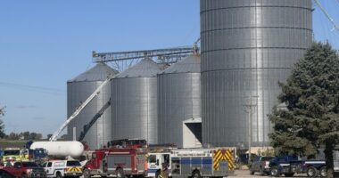 Several departments on scene of grain bin fire at Coles Station