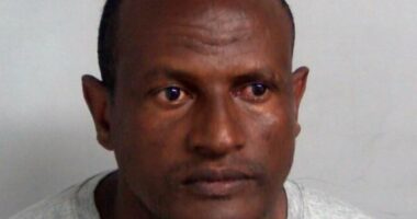 Sex assault migrant released from prison by mistake has been deported