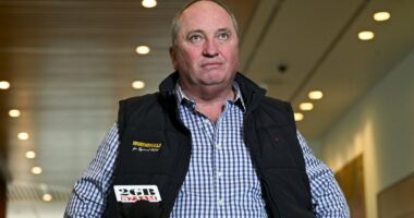 Shock as Barnaby Joyce announces he will NOT run in the next election