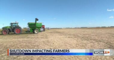 Shutdown uncertainty on the minds of Central IL farmers