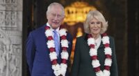 Signs of Camilla's hue influence in statement ousting Andrew