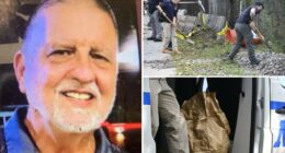 Skeletal remains found near NYC strip mall believed to be nurse who disappeared 4 years ago