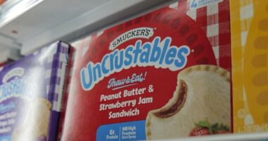 Smucker sues Trader Joe's, saying its new PB&J sandwiches are too similar to Uncrustables