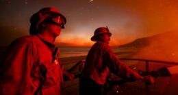 Sorry, Newsom: Palisades Fire Arrest Isn't Closure; It's Just the Beginning of a Terrible Reckoning