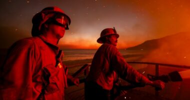 Sorry, Newsom: Palisades Fire Arrest Isn't Closure; It's Just the Beginning of a Terrible Reckoning
