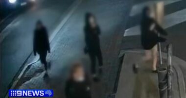 South Australia rolls out new youth crime laws after shocking child gang crime