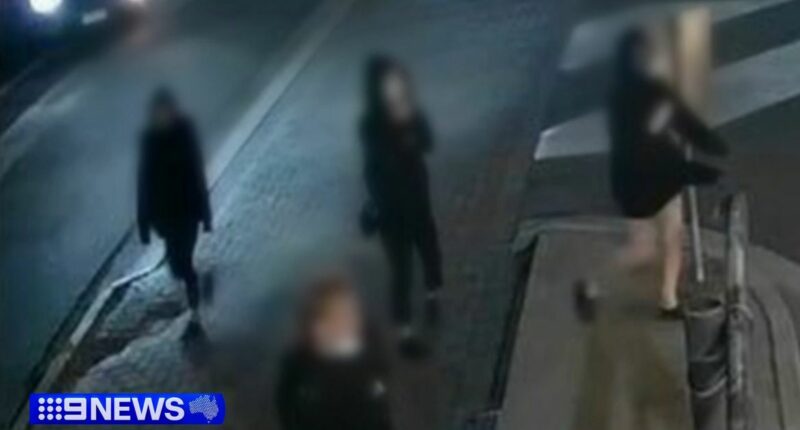 South Australia rolls out new youth crime laws after shocking child gang crime
