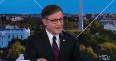 Speaker Johnson says Democrats are ‘not serious’ about negotiating end to shutdown: Full interview