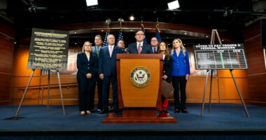 Speaker Johnson: ‘We roundly condemn’ Young Republicans group chat, swastika American flag 