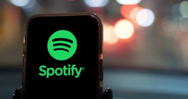 Spotify users threaten to boycott over ICE advertisements
