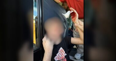 St. Johns police reponds after student attacked on school bus