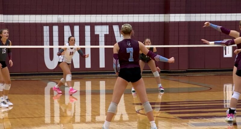 St. Joseph-Ogden volleyball standout not limited by limb difference