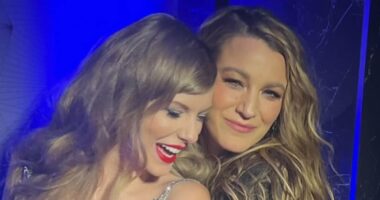 State of Taylor Swift's friendship with Blake Lively revealed