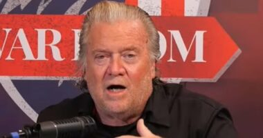 Steve Bannon blasts Trump's shock new military move