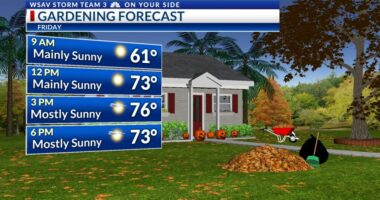 Storm Team 3: Chilly nights, warm afternoons ahead into the weekend