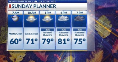 Storm Team 3: Warm & Breezy Sunday with showers, sunshine returns for next week