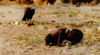 Story behind photo of vulture waiting for a starving child to die